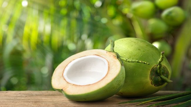 5 Manfaat Kelapa untuk Kesehatan Tubuh